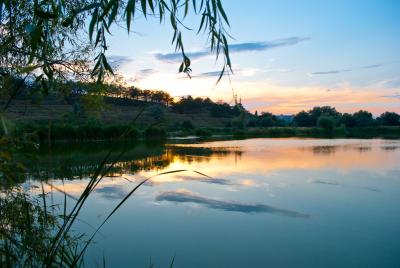 Прикрепленное изображение: DSC_0265.jpg